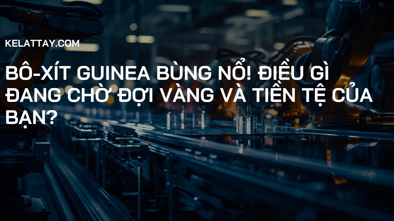Bô-xít Guinea Bùng Nổ! Điều Gì Đang Chờ Đợi Vàng và Tiền Tệ Của Bạn?