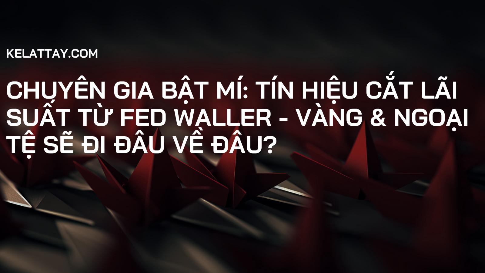 CHUYÊN GIA BẬT MÍ: Tín hiệu CẮT LÃI SUẤT TỪ FED Waller - Vàng & Ngoại tệ Sẽ ĐI ĐÂU VỀ ĐÂU?