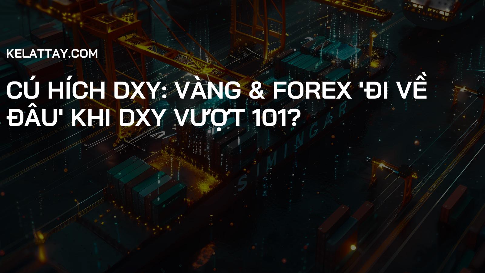 Cú Hích DXY: Vàng & Forex 'Đi Về Đâu' Khi DXY Vượt 101?