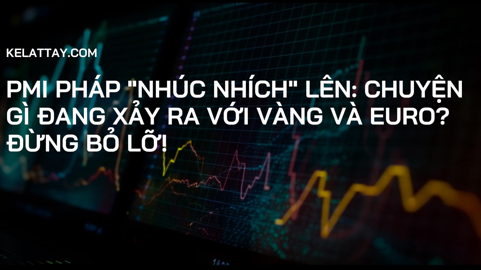 PMI Pháp "Nhúc Nhích" Lên: Chuyện Gì Đang Xảy Ra Với Vàng và Euro? Đừng Bỏ Lỡ!