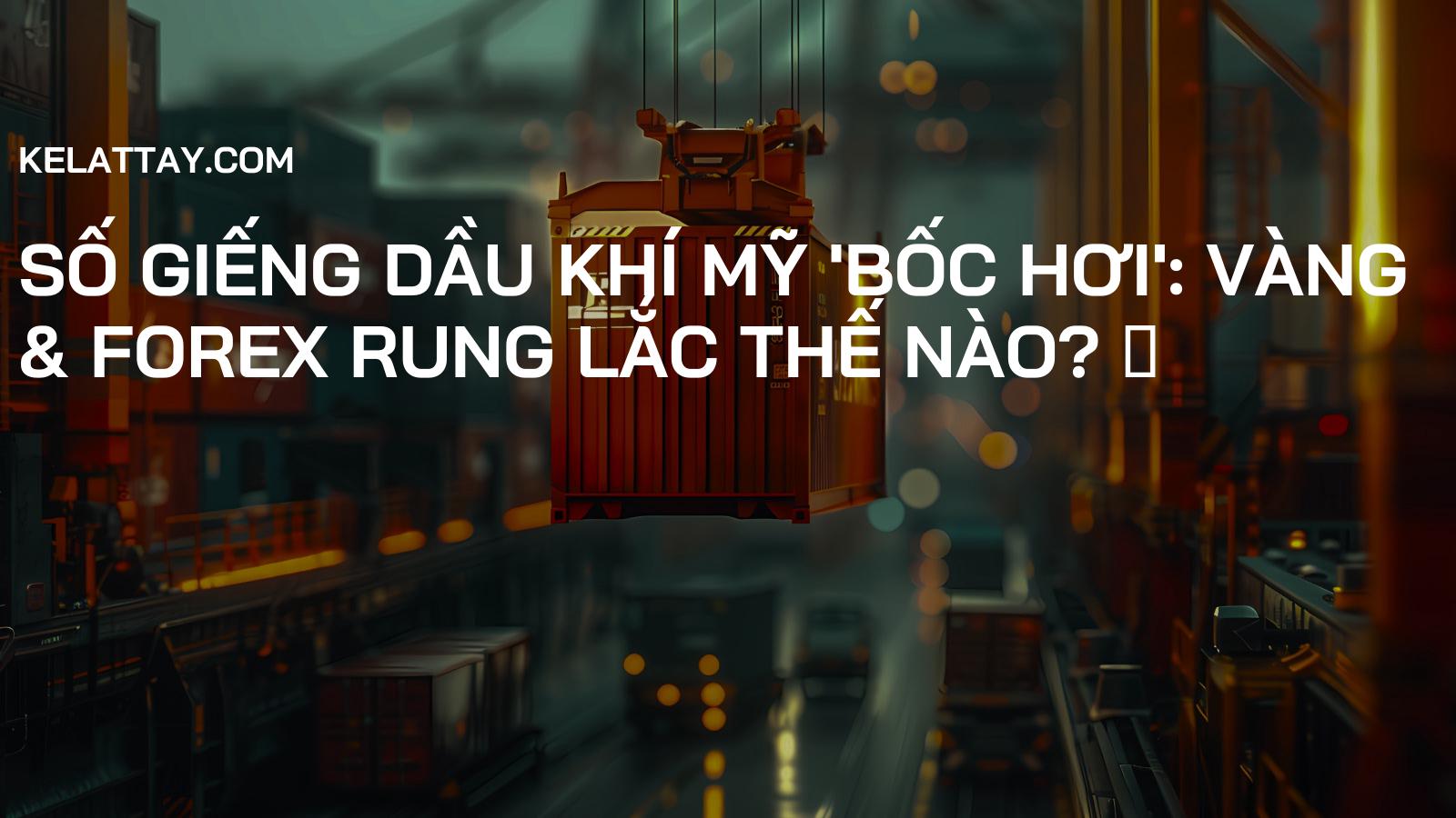 Số giếng dầu khí Mỹ 'bốc hơi': Vàng & Forex rung lắc thế nào? 📉