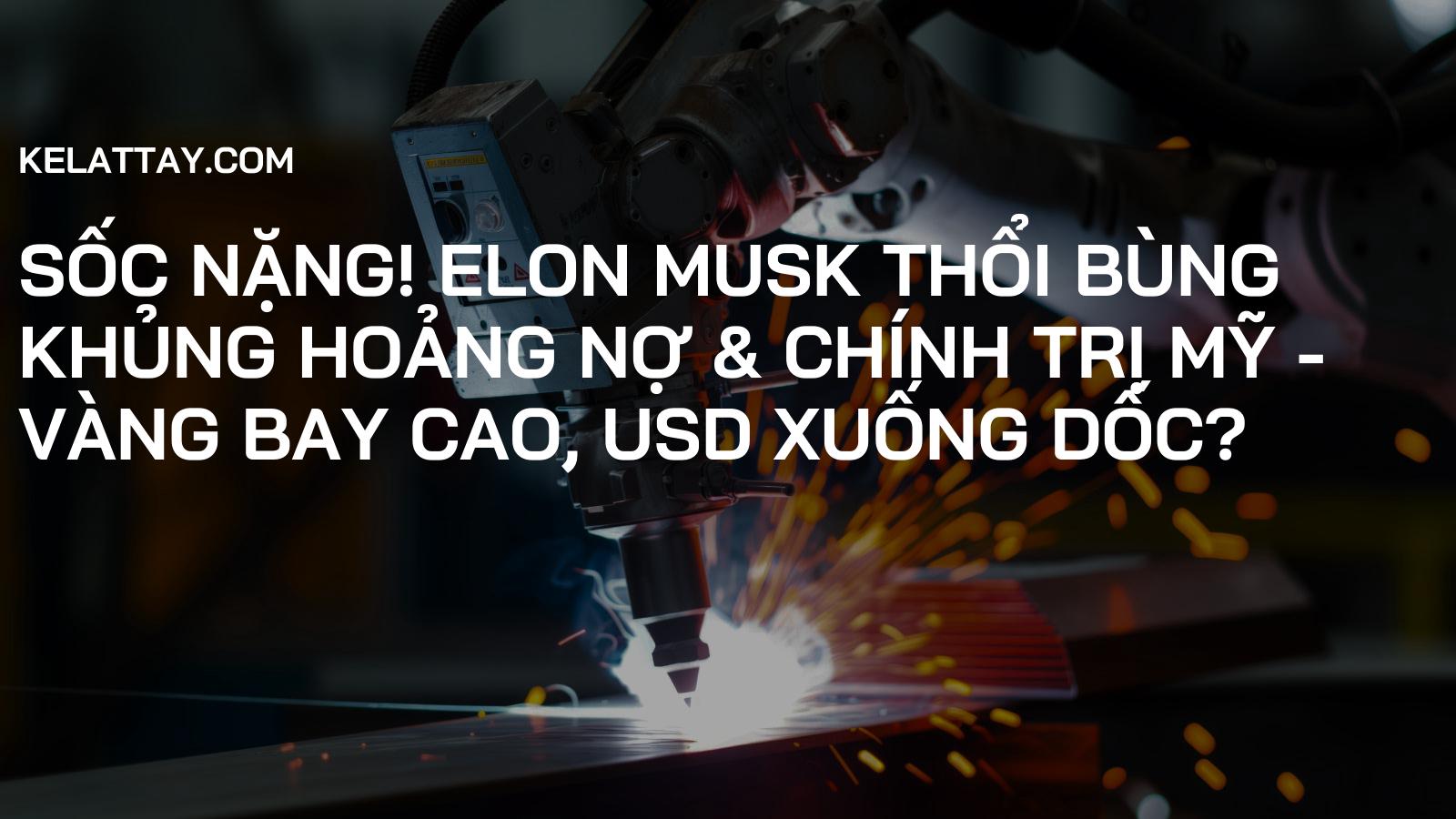 SỐC NẶNG! Elon Musk Thổi Bùng Khủng Hoảng Nợ & Chính Trị Mỹ - Vàng Bay Cao, USD Xuống Dốc?