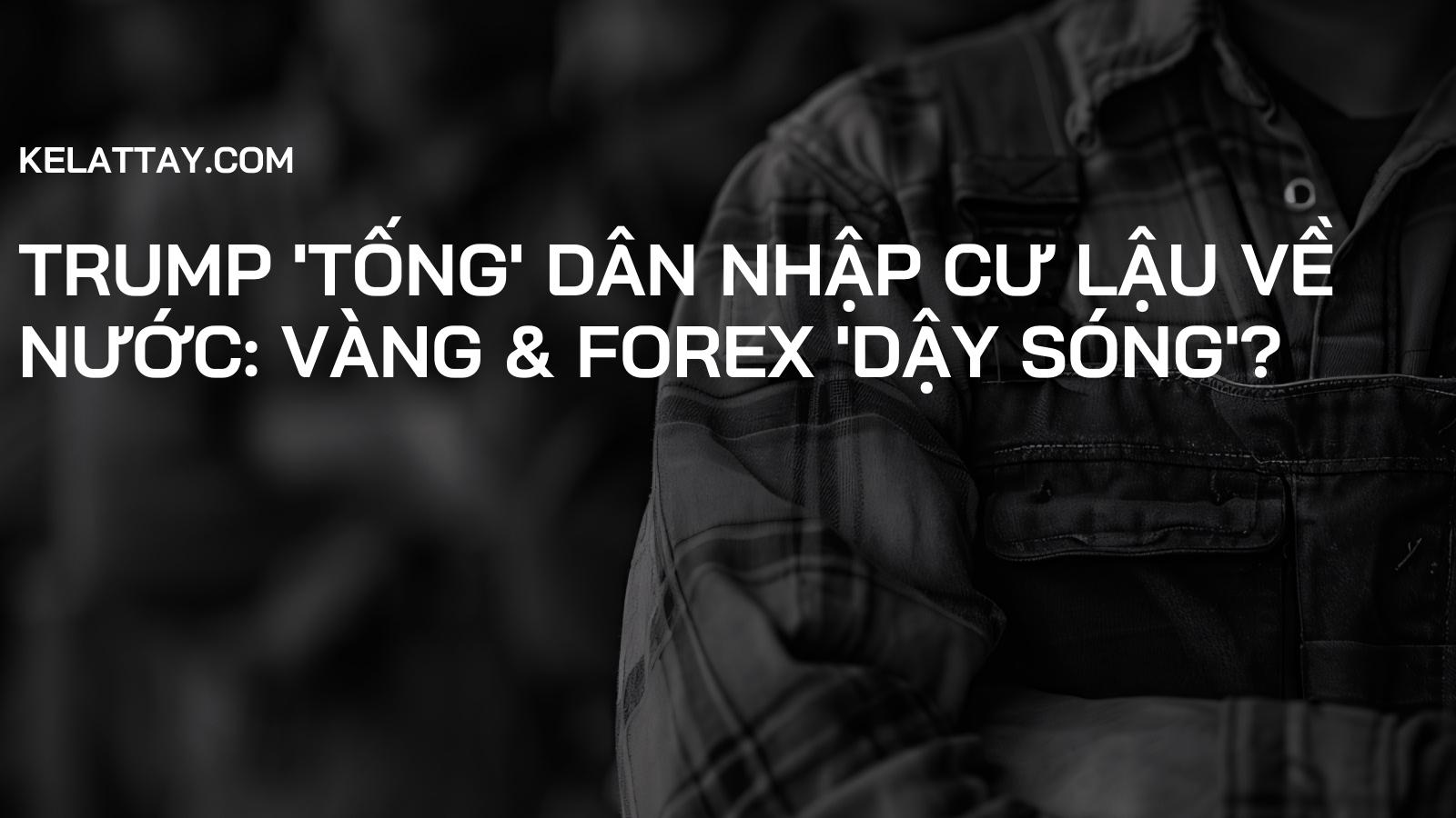 Trump 'tống' dân nhập cư lậu về nước: Vàng & Forex 'dậy sóng'?
